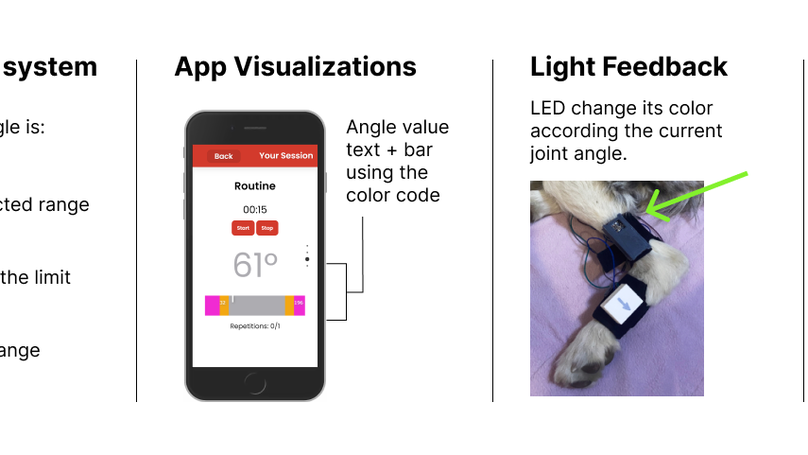 [To Appear] WOOFlex: A Wearable Device to Aid Canine Flexibility Exercises